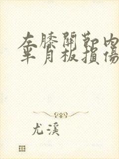 左膝关节内外侧半月板损伤二级