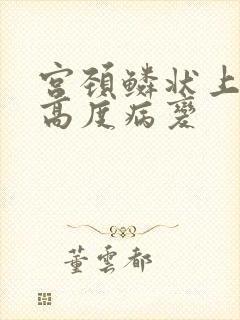 宫颈鳞状上皮 高度病变