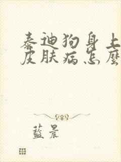 泰迪狗身上痒,皮肤病怎么办封面