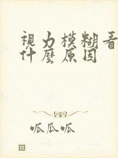 视力模糊看不清什么原因