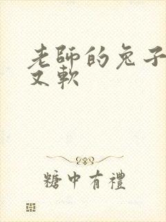 老师的兔子又大又软封面