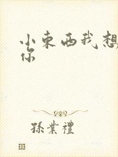小东西我想弄坏你