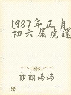 1987年正月初六属虎还是属兔