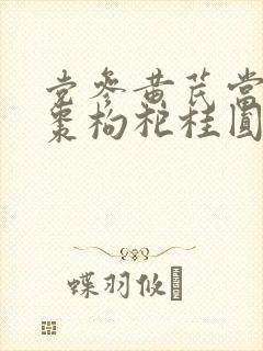 党参黄芪当归红枣枸杞桂圆