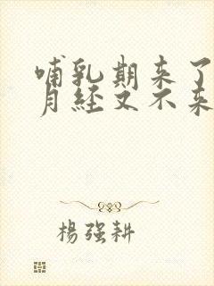 哺乳期来了两次月经又不来了正常吗
