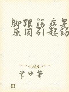 脚跟筋疼是什么原因引起的