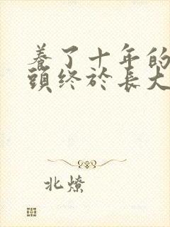 养了十年的小丫头终于长大了