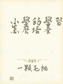 小学的学习习惯怎么培养