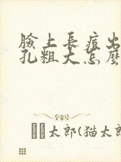 脸上长痘出油毛孔粗大怎么办
