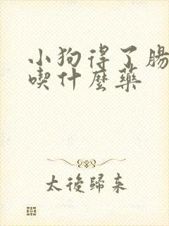 小狗得了肠胃炎吃什么药