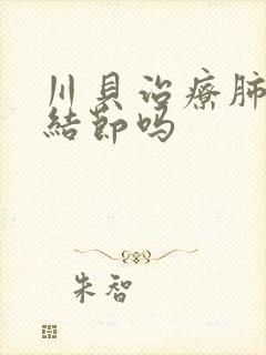 川贝治疗肺部有结节吗