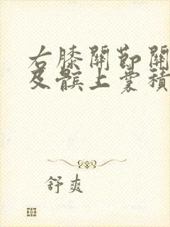 右膝关节关节腔及髌上囊积液