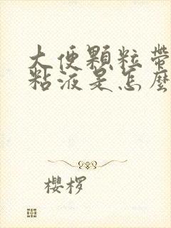大便颗粒带白色粘液是怎么回事