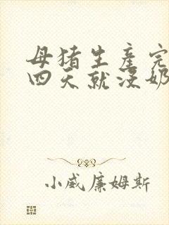 母猪生产完后三四天就没奶了封面