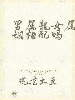 男属龙女属虎婚姻相配吗封面