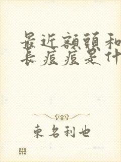 最近额头和下巴长痘痘是什么原因引起的