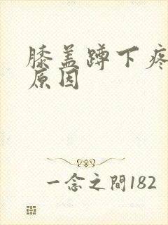 膝盖蹲下疼痛的原因封面
