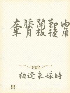 左膝关节内外侧半月板后角损伤