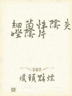 细菌性阴炎克霉唑阴片封面