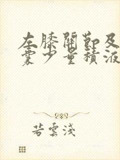 左膝关节及髌上囊少量积液