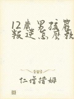 12岁男孩严重叛逆怎么教育