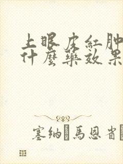 上眼皮红肿痒用什么药效果好呢