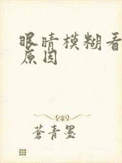 眼睛模糊看不清原因封面