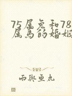 75属兔和78属马的婚姻如何