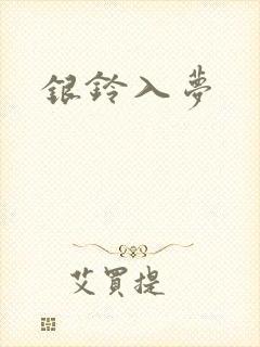 银铃入梦封面