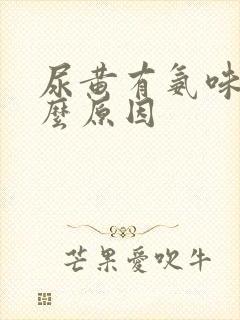 尿黄有氨味是什么原因