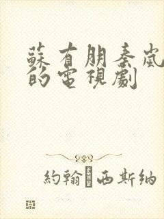 苏有朋秦岚主演的电视剧封面