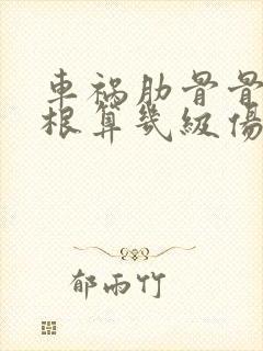 车祸肋骨骨折5根算几级伤残