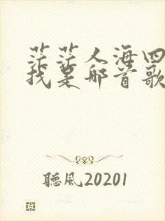茫茫人海四处寻找是哪首歌的歌词