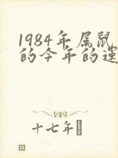 1984年属鼠的今年的运气怎么样