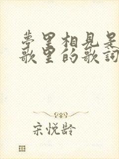 梦里相见是哪首歌里的歌词