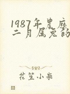 1987年农历二月属兔的命运