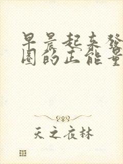 早晨起来发朋友圈的正能量句子