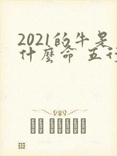 2021的牛是什么命 五行属什么