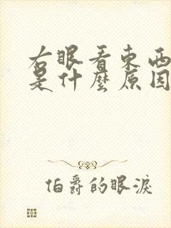 右眼看东西模糊是什么原因