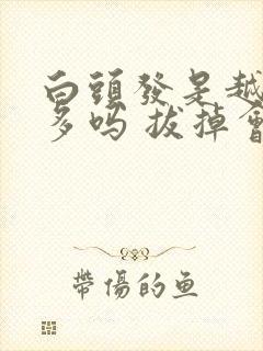 白头发是越拔越多吗 拔掉会长黑吗