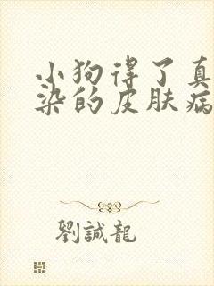 小狗得了真菌感染的皮肤病怎么办