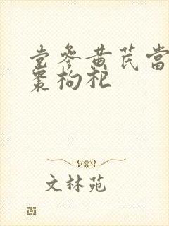 党参黄芪当归红枣枸杞