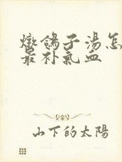 炖鸽子汤怎么炖最补气血