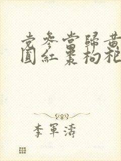 党参当归黄芪桂圆红枣枸杞