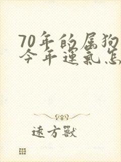 70年的属狗的今年运气怎么样封面