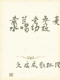 黄芪党参麦冬泡水喝功效