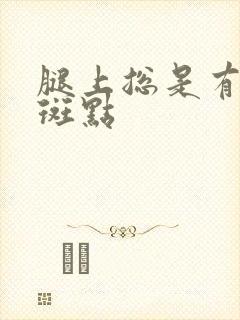 腿上总是有紫色斑点