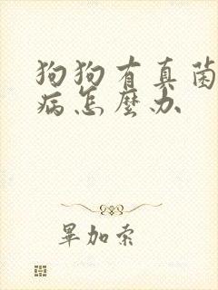 狗狗有真菌皮肤病怎么办