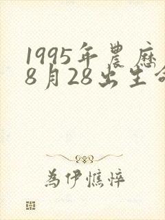 1995年农历8月28出生命运怎么样