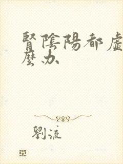 肾阴阳都虚该怎么办封面